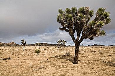 过去三年，日本PC游戏市场规模翻了一番