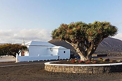 宝可梦2023世界锦标赛将在日本横滨举办 为赛事首次